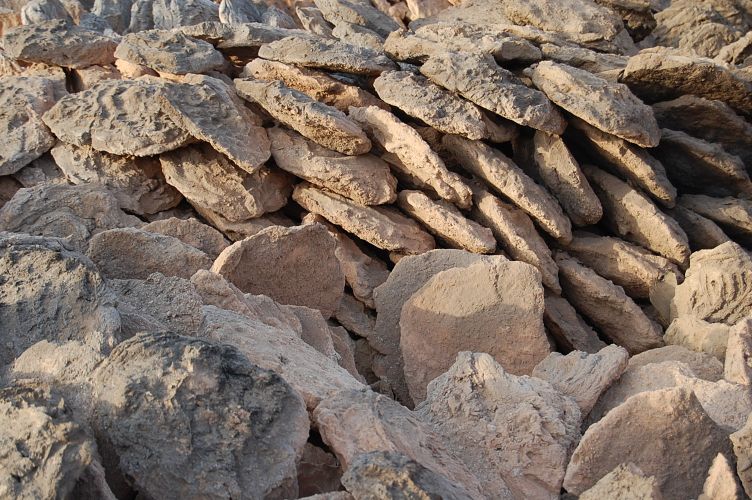 ساروج